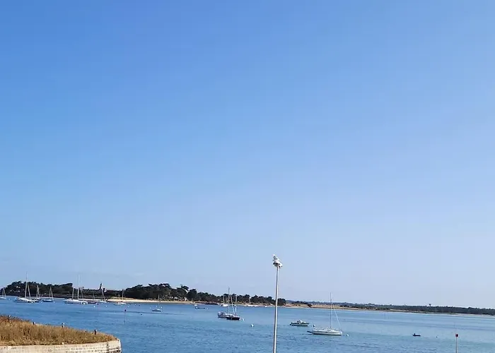 L'echappee Marine - Les De La Cote D'amour *